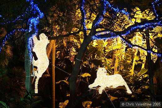 Sanremo Christmas lights