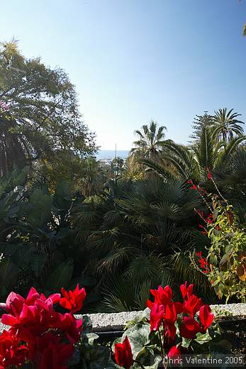 Gardens in Sanremo