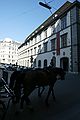 Lipizzaner Museum, Vienna