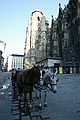 Saint Stephen's Cathedral, Vienna