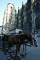 Saint Stephen's Cathedral, Vienna