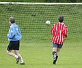 Surely an empty net goal...?